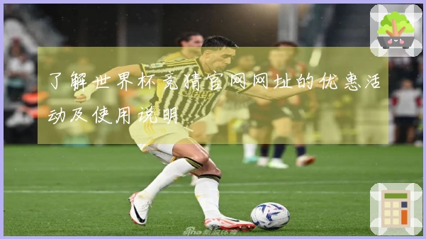 了解世界杯竞猜官网网址的优惠活动及使用说明