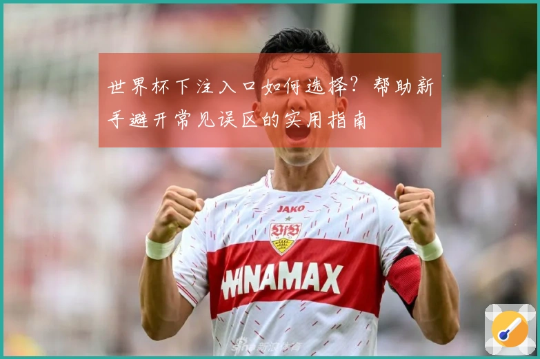 世界杯下注入口如何选择？帮助新手避开常见误区的实用指南