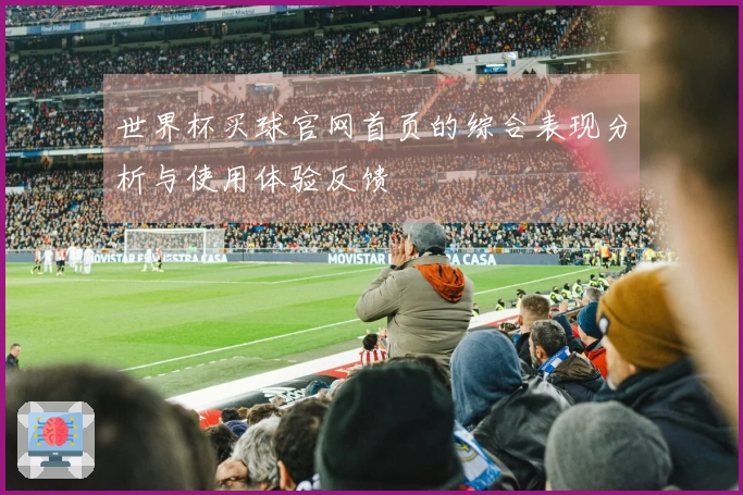 世界杯买球官网首页的综合表现分析与使用体验反馈