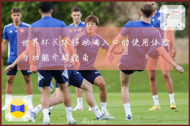 世界杯买球移动端入口的使用体验与功能介绍指南