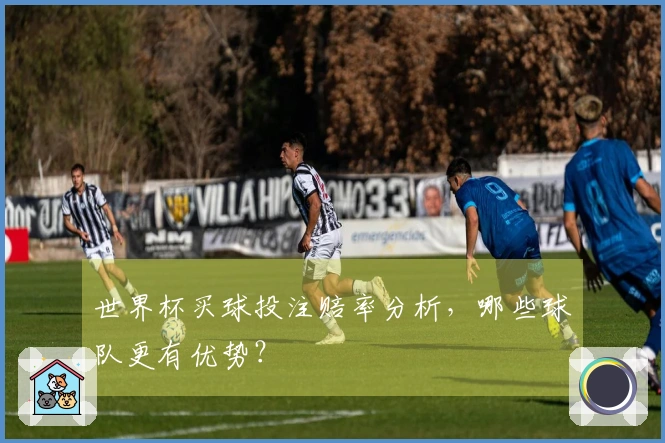世界杯买球投注赔率分析，哪些球队更有优势？