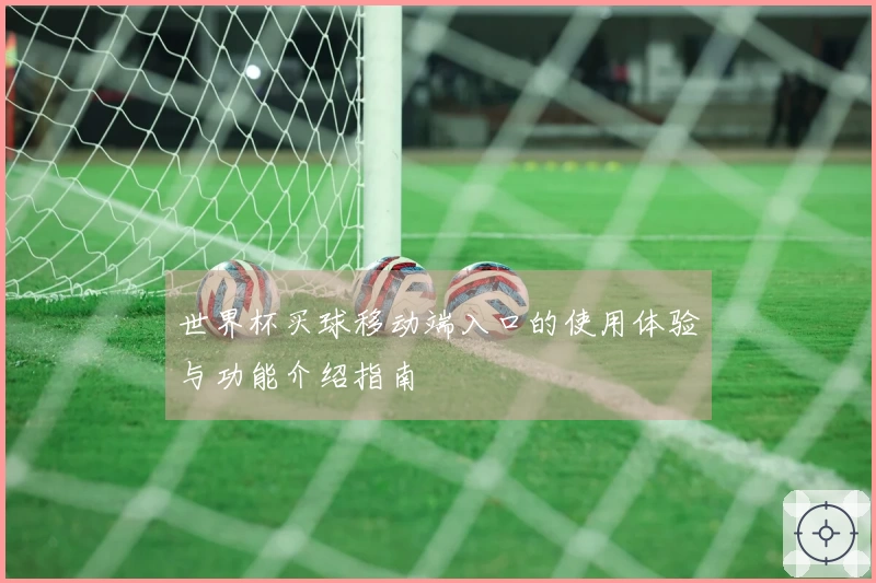 世界杯买球移动端入口的使用体验与功能介绍指南