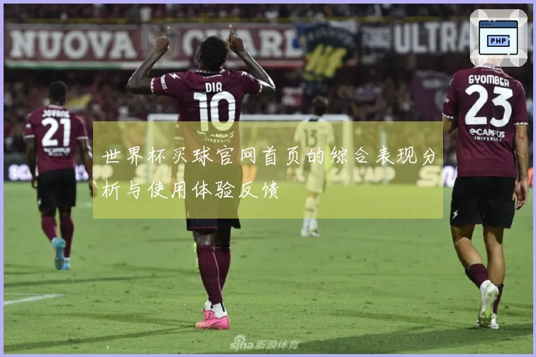 世界杯买球官网首页的综合表现分析与使用体验反馈