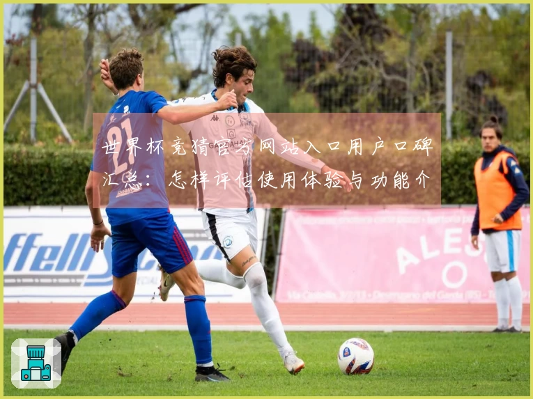 世界杯竞猜官方网站入口用户口碑汇总：怎样评估使用体验与功能介绍