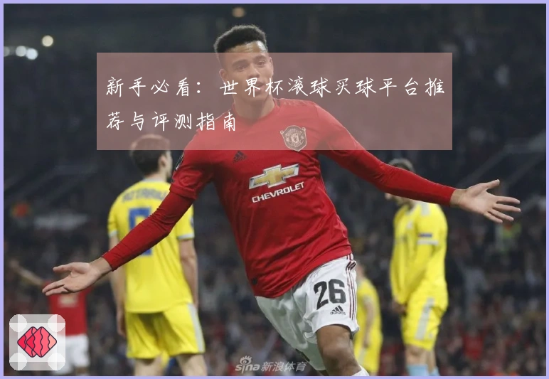 新手必看：世界杯滚球买球平台推荐与评测指南